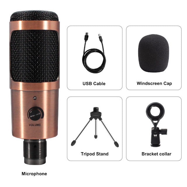 USB Microphone with Boom Arm, Pop Filter, Windscreen, Shock Mount, Table Clamp, Stand